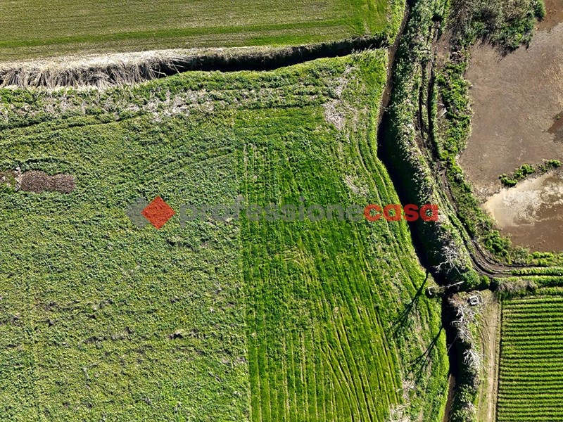 Terreno agricolo in Vendita a Capaccio Paestum, 129'000€, 18888 m²