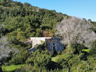 Terreno agricolo in Vendita a Alessano, 95'000€, 20000 m²