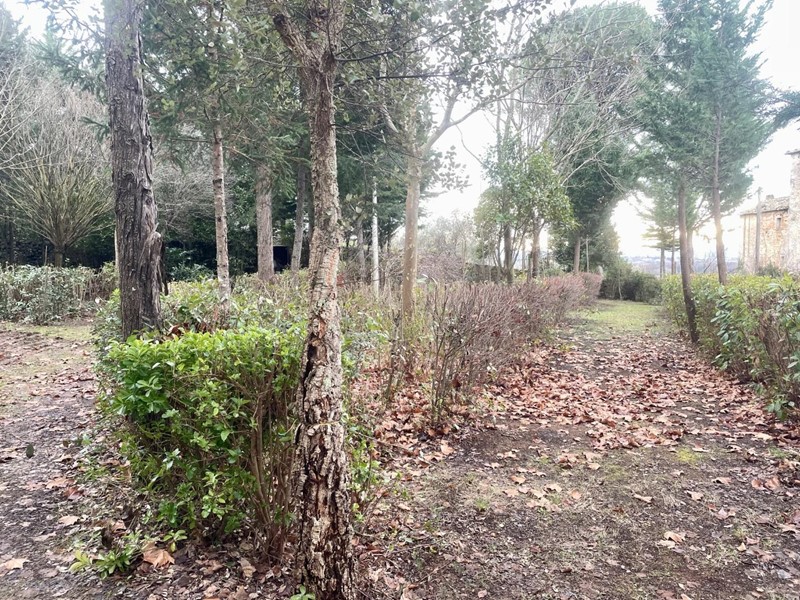 Magazzino in Vendita a Siena, zona Toiano, 40'000€, 33 m²