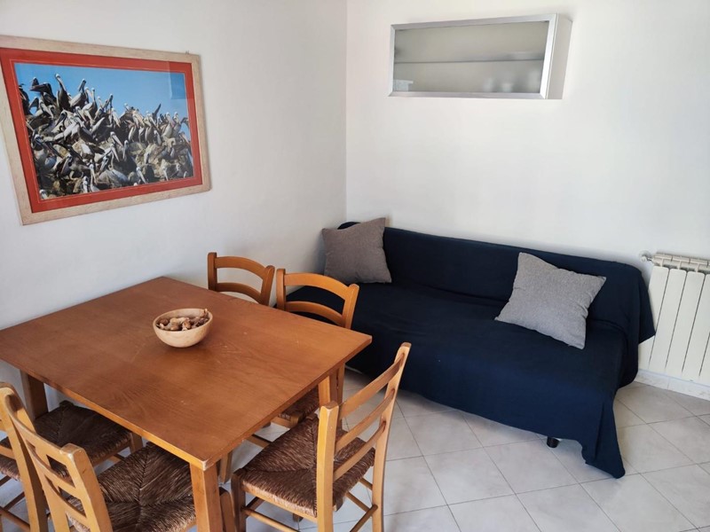Bilocale in Affitto a Pisa, zona Marina di Pisa, 600€, 45 m²