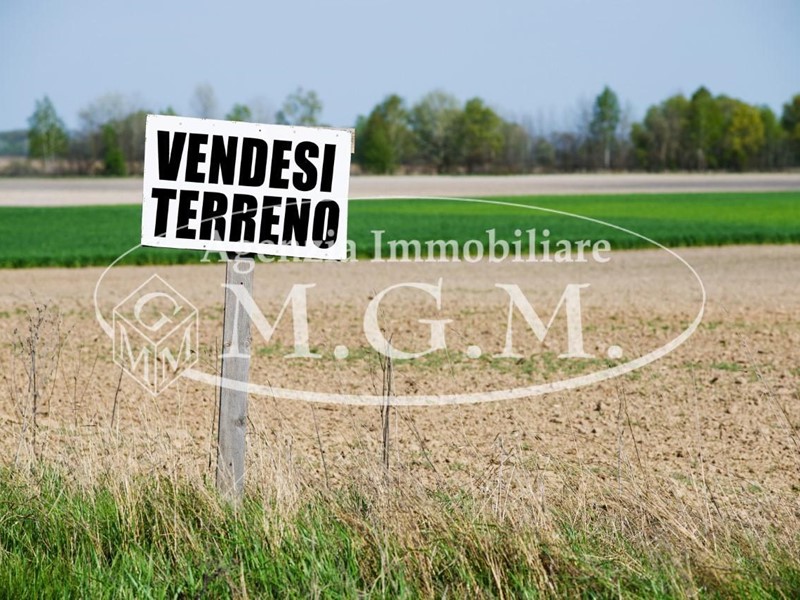 Terreno agricolo in Vendita a Castelfranco di Sotto, 95'000€, 190000 m²