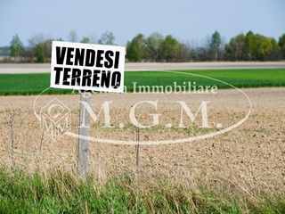 Terreno agricolo in Vendita a Castelfranco di Sotto, 95'000€, 190000 m²
