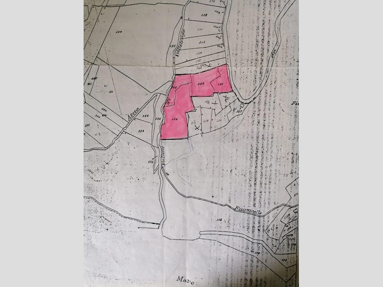 Terreno agricolo in Vendita a Ascea, 19'000€, 7895 m²