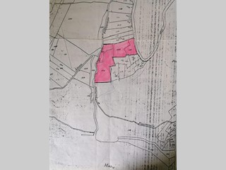 Terreno agricolo in Vendita a Ascea, 19'000€, 7895 m²