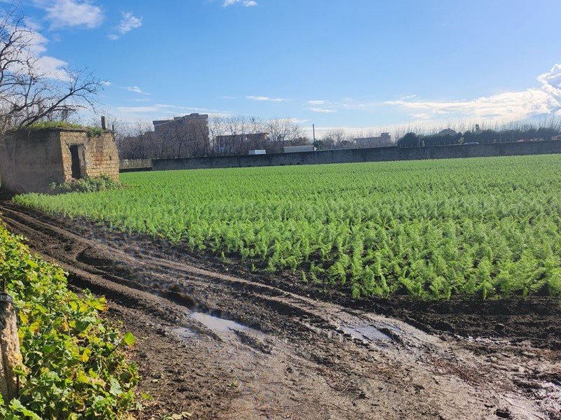 Terreno edificabile in Vendita a Acerra, 190'000€, 10463 m²