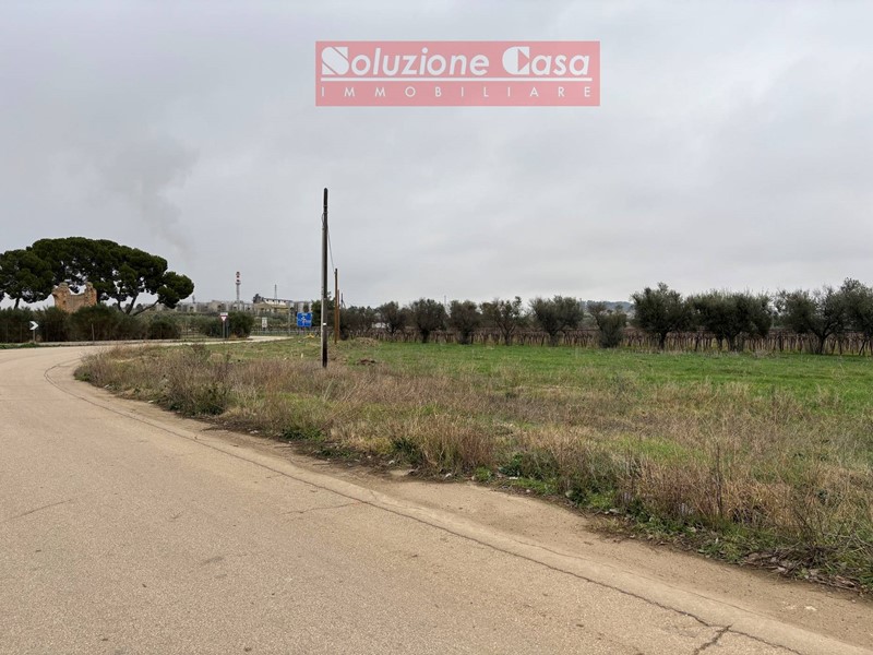 Terreno agricolo in Vendita a Canosa di Puglia, 31'900€, 11715 m²