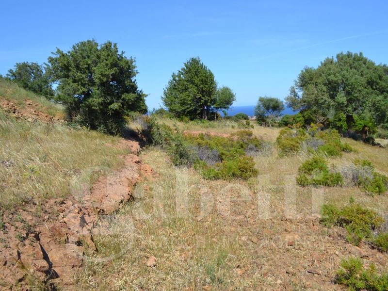 Terreno agricolo in Vendita a Posada, 549'000€, 57746 m²