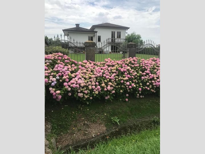 Villa in Vendita a Dolo, 397'000€, 173 m², arredato