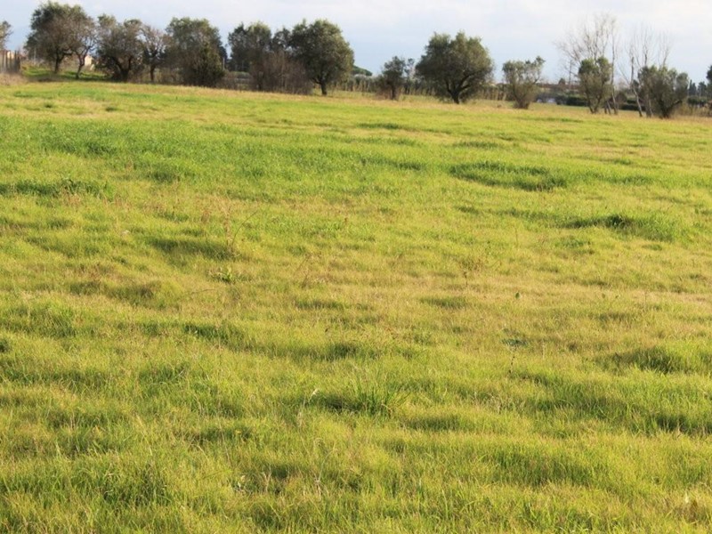 Casa Indipendente in Vendita a Cecina, 140'000€, 120 m², con Box