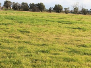 Casa Indipendente in Vendita a Cecina, 140'000€, 120 m², con Box