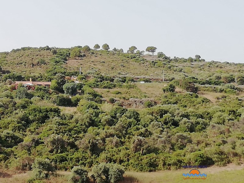 Terreno edificabile in Vendita a Castelsardo, 60'000€, 2000 m²