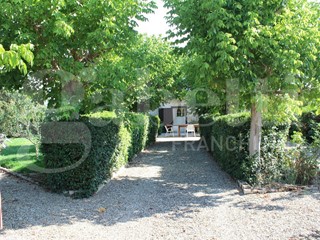 Villa in Vendita a Canosa di Puglia, 140 m², arredato