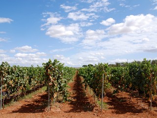 Attività commerciale in Vendita a Bari, 1'620'000€, 2500 m², arredato