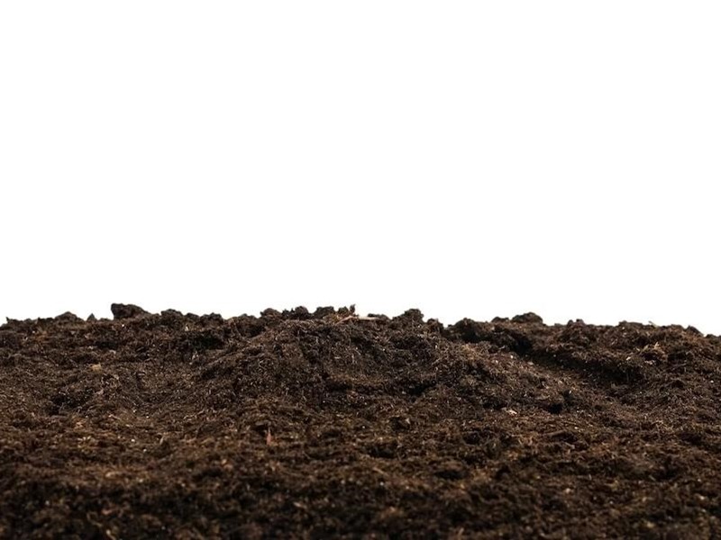 Terreno agricolo in Vendita a Casciana Terme Lari, 10'000€, 2150 m²