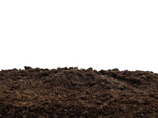 Terreno agricolo in Vendita a Casciana Terme Lari, 10'000€, 2150 m²