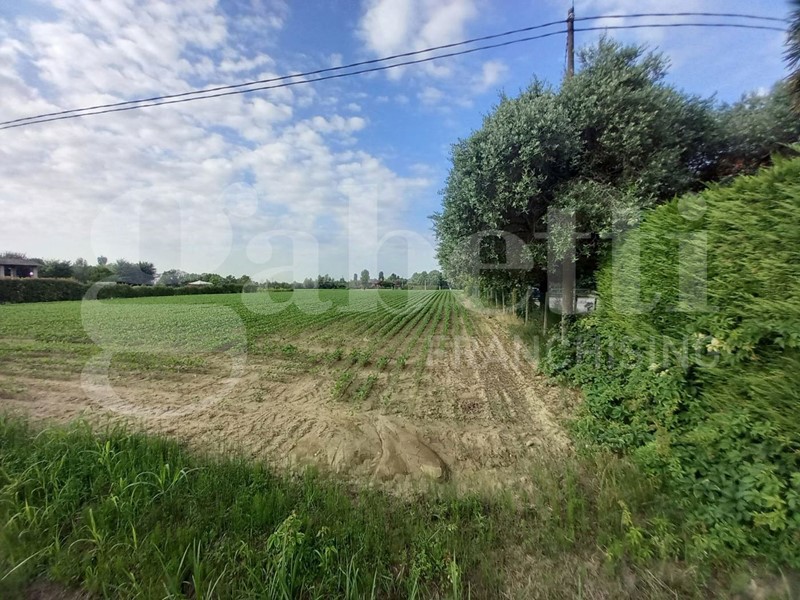 Terreno edificabile in Vendita a Campodarsego, 125'000€, 7796 m²