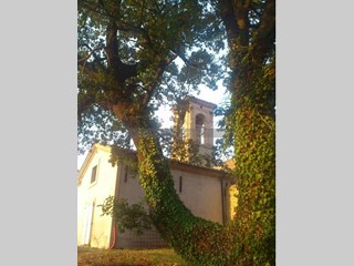 Casa Indipendente in Vendita a Torgiano, zona Miralduolo, 190'000€, 600 m²