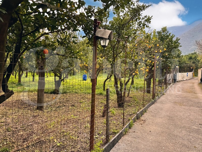 Terreno agricolo in Vendita a Sant'Egidio del Monte Albino, 160'000€, 3060 m²