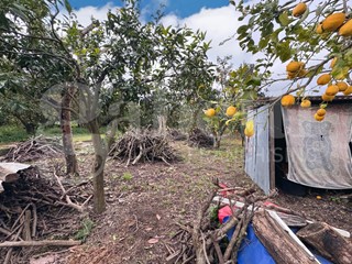 Terreno agricolo in Vendita a Sant'Egidio del Monte Albino, 160'000&euro;, 3060 m²