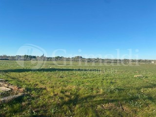 Terreno agricolo in Vendita a Gallipoli, 30'000€, 29135 m²