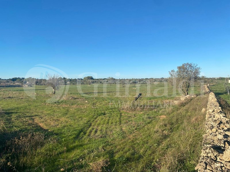 Terreno agricolo in Vendita a Gallipoli, 30'000&euro;, 29135 m²