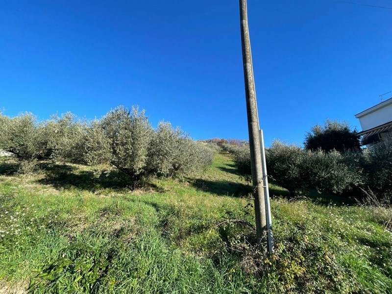 Terreno agricolo in Vendita a Fonte Nuova, 35'000&euro;, 4960 m²