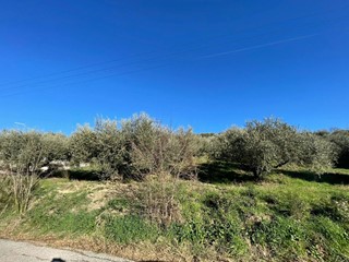 Terreno agricolo in Vendita a Fonte Nuova, 35'000€, 4960 m²