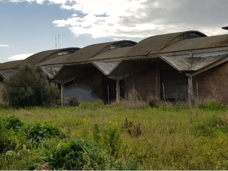 Capannone in Vendita a Elmas, 1'200'000€, 10305 m²