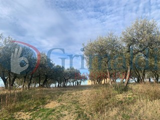 Terreno edificabile in Vendita a Montefalco, 90'000€, 789 m²