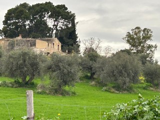 Terreno agricolo in Vendita a Caltanissetta, 250'000€, 149358 m²