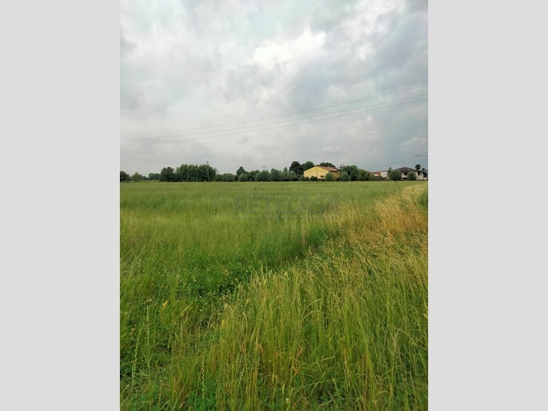 Terreno industriale in Vendita a Gazzo, 680'000€, 22810 m²