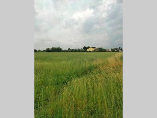 Terreno industriale in Vendita a Gazzo, 680'000€, 22810 m²