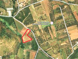 Terreno agricolo in Vendita a Mondragone, zona provinciale falciano - mondragone, 25'000€, 6000 m²