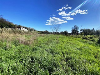 Terreno edificabile in Vendita a Luni, 120'000€, 140 m²