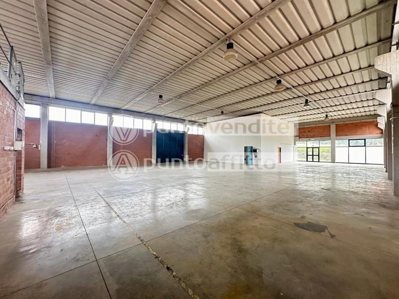 Capannone in Affitto a Capannori, zona Lappato, 3'500€, 750 m²
