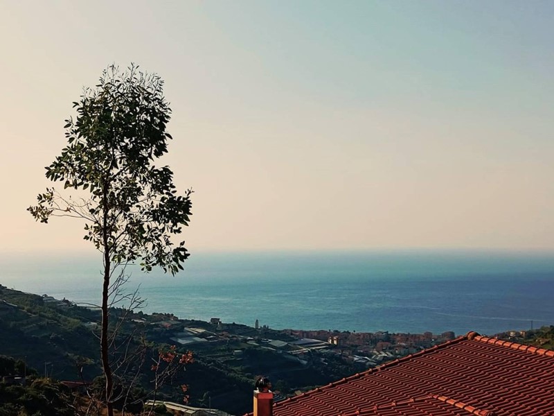 Terreno edificabile in Vendita a Castellaro, 50'000€, 2900 m²