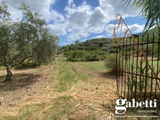 Terreno agricolo in Vendita a Librizzi, 35'000€, 9789 m²