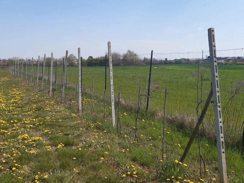 Terreno agricolo in Vendita a Piossasco, 28'000€, 1600 m²