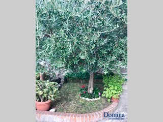 Casa Indipendente in Vendita a Massa, 188'000&euro;, 80 m²