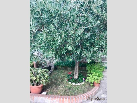 Casa Indipendente in Vendita a Massa, 188'000&euro;, 80 m²