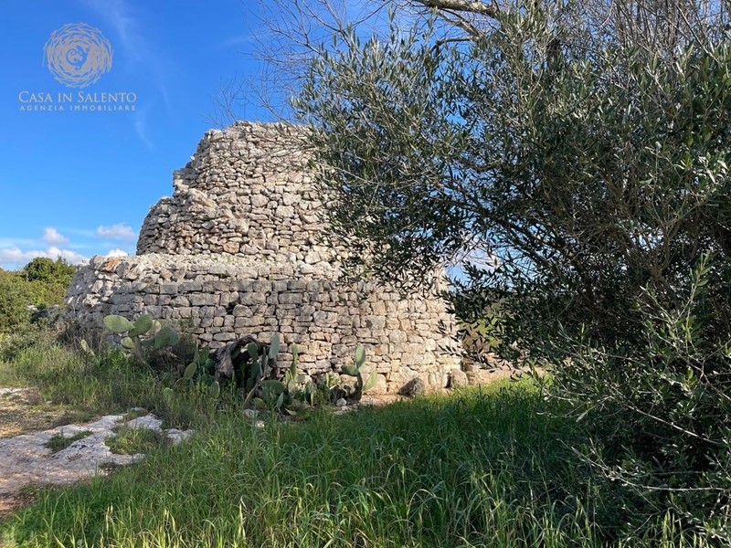 Terreno agricolo in Vendita a Alessano, 49'000€, 15500 m²