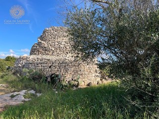 Terreno agricolo in Vendita a Alessano, 49'000€, 15500 m²