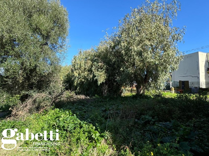 Casa Indipendente in Vendita a Patti, 39'500€, 250 m²