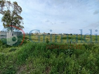 Terreno agricolo in Vendita a Ugento, 43'000€, 10570 m²