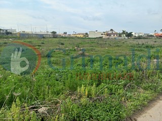 Terreno agricolo in Vendita a Ugento, 43'000€, 10570 m²
