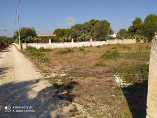 Terreno agricolo in Vendita a Maruggio, 15'000€, 2300 m²