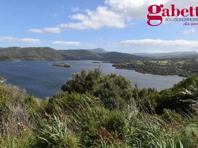 Terreno agricolo in Vendita a Luras, 240'000€, 