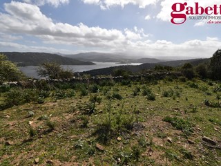 Terreno agricolo in Vendita a Luras, 240'000€, 