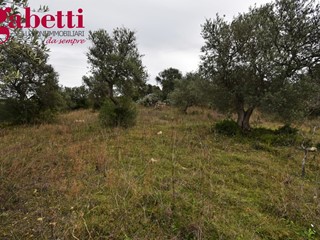 Terreno agricolo in Vendita a Sorso, 30'000€, 6000 m²