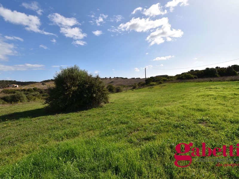Terreno agricolo in Vendita a Olbia, 50'000€, 15000 m²